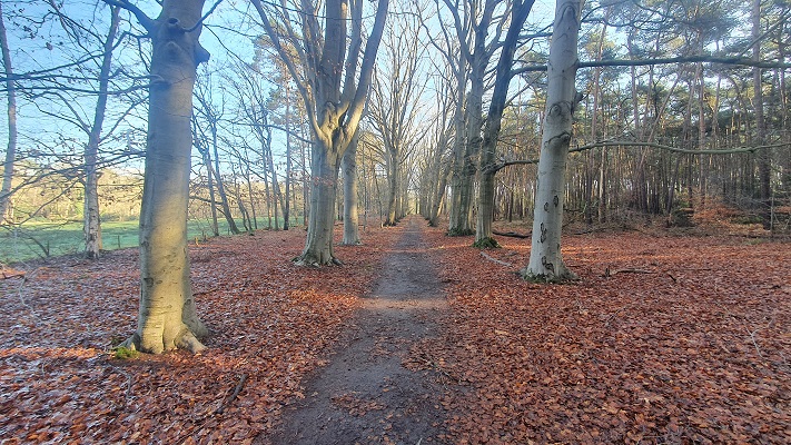Wandeling over smokkelpaden bij Strijbeek