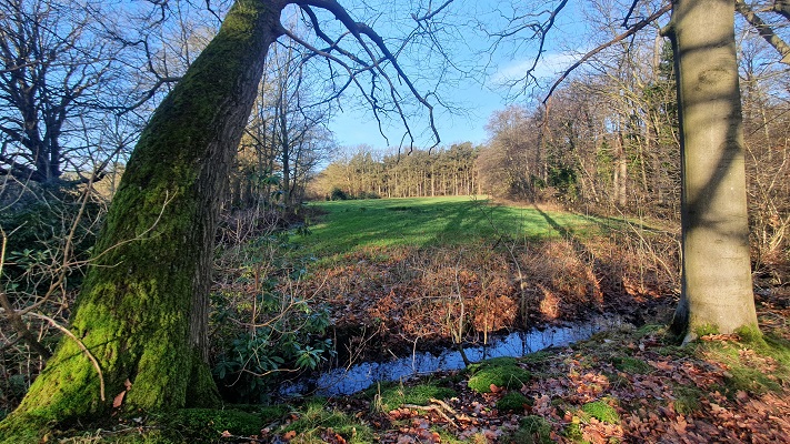 Wandeling over smokkelpaden bij Strijbeek