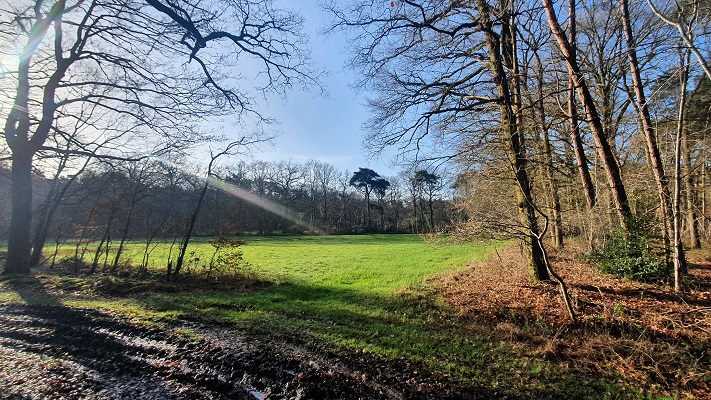 Wandeling over smokkelpaden bij Strijbeek