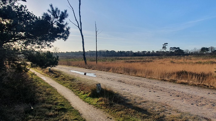 Wandeling over smokkelpaden bij Strijbeek over de Strijbeekse Heide