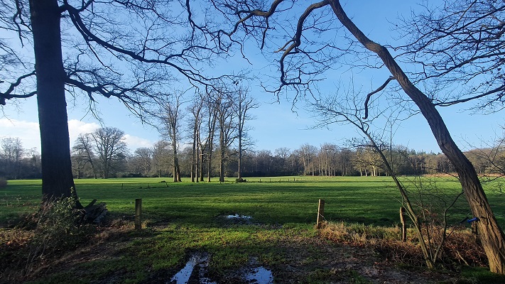 Wandeling over smokkelpaden bij Strijbeek bij landgoed Hondsdonk