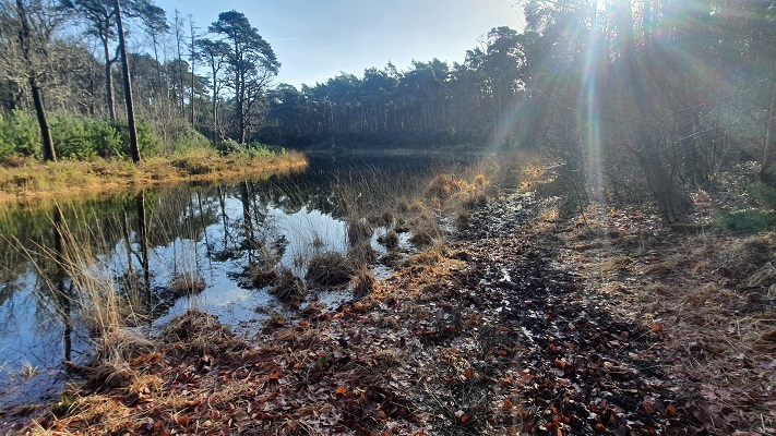 Wandeling over smokkelpaden bij Strijbeek bij landgoed Hondsdonk