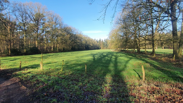 Wandeling over smokkelpaden bij Strijbeek bij landgoed Hondsdonk