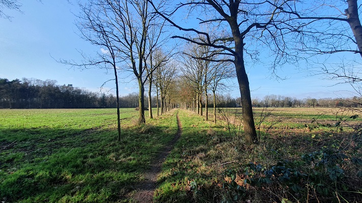 Wandeling over smokkelpaden bij Strijbeek