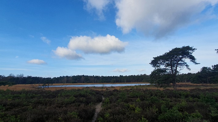 Wandeling over smokkelpaden bij Strijbeek bij het Rondven