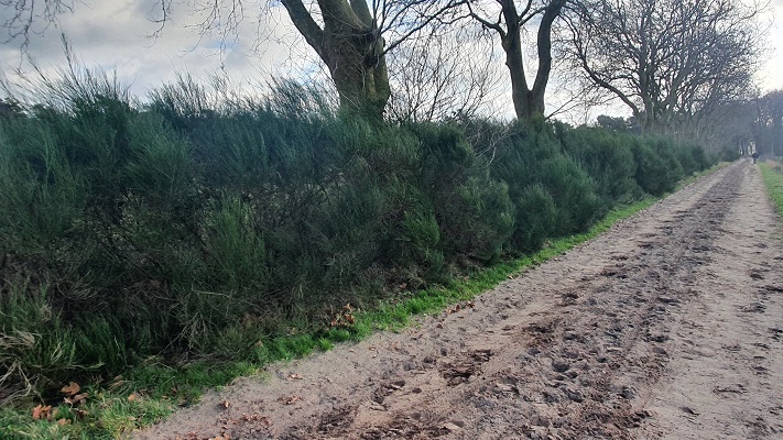 Wandeling over smokkelpaden bij Strijbeek