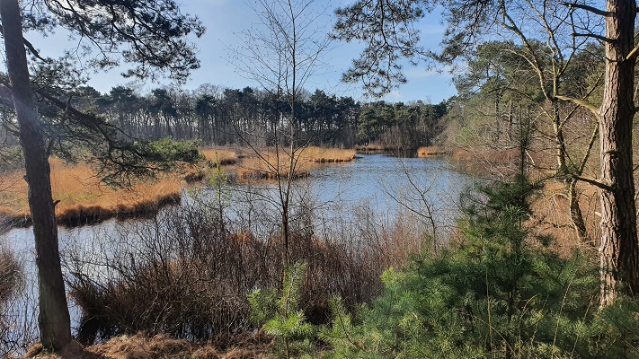Wandeling over smokkelpaden bij Strijbeek bij het Patersmoer