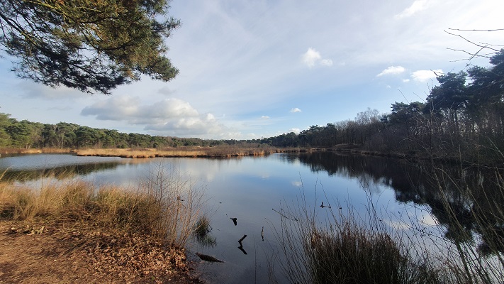 Wandeling over smokkelpaden bij Strijbeek bij het Patersmoer