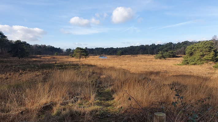 Wandeling over smokkelpaden bij Strijbeek bij het Patersmoer