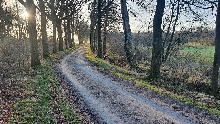 Wandeling over smokkelpaden bij Strijbeek