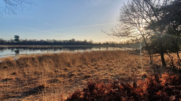 Wandeling over smokkelpaden bij Strijbeek bij het Zwarte Goor
