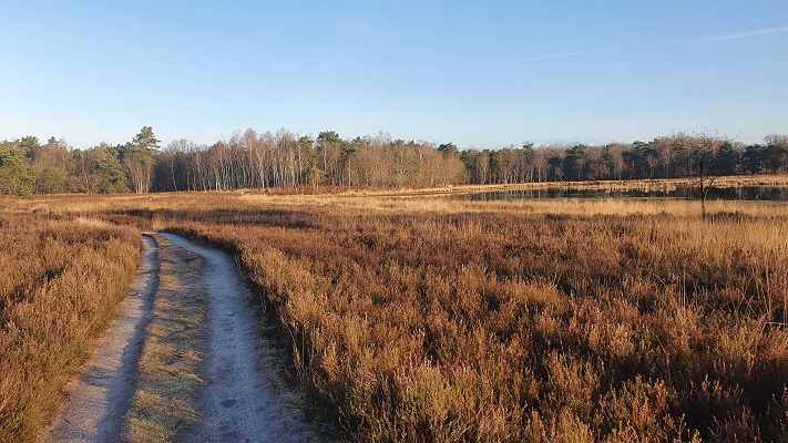 Wandeling over smokkelpaden bij Strijbeek bij het Zwarte Goor