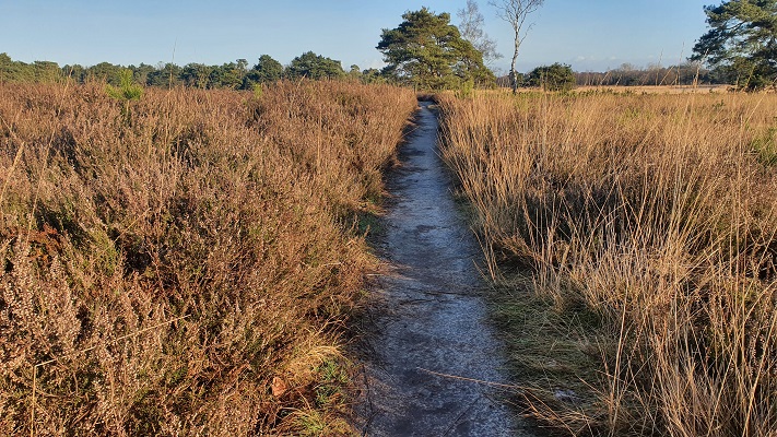 Wandeling over smokkelpaden bij Strijbeek over de Strijbeekse Heide