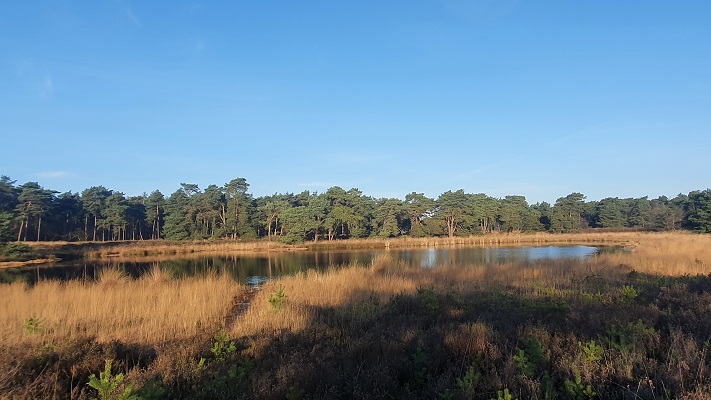 Wandeling over smokkelpaden bij Strijbeek bij het Langven