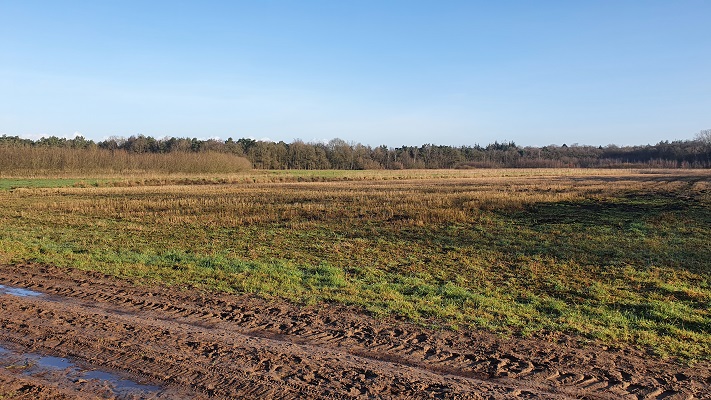 Wandeling over smokkelpaden bij Strijbeek