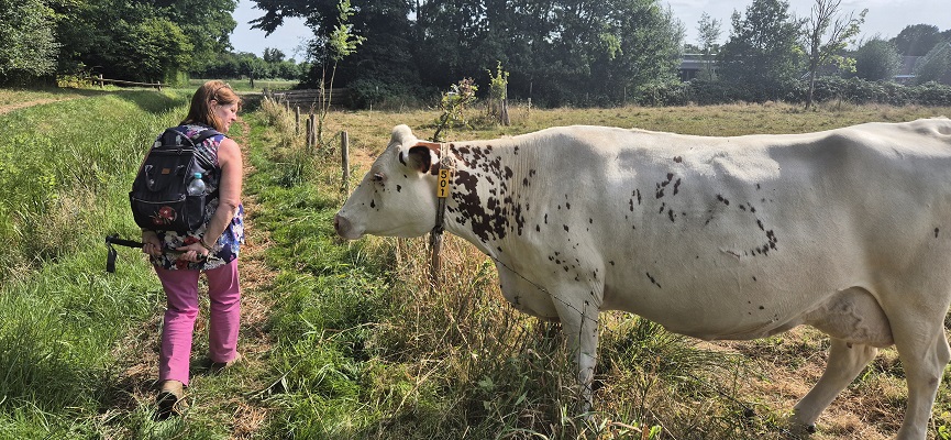 Controle Trage Tocht Bedaf met Marianne