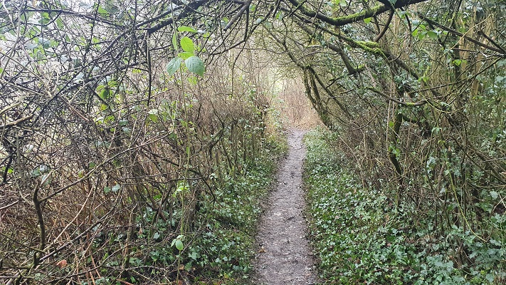 Wandeling over Trage Tocht Holset
