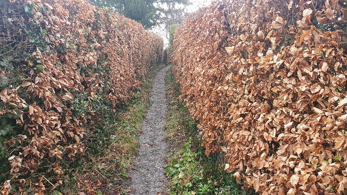 Wandeling over Trage Tocht Holset op het kerkepad bij buurtschap Wolfhaag