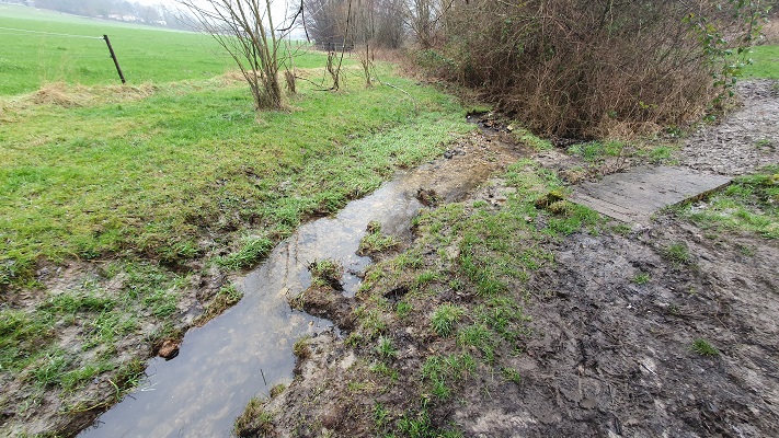 Wandeling over Trage Tocht Holset bij de Zieversbeek