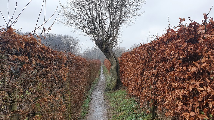 Wandeling over Trage Tocht Holset
