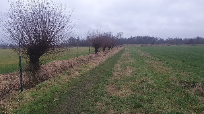 Wandeling met Rutger Burgers over Trage Tocht Bedaf