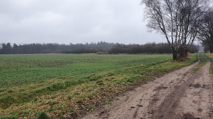 Wandeling met Rutger Burgers over Trage Tocht Bedaf