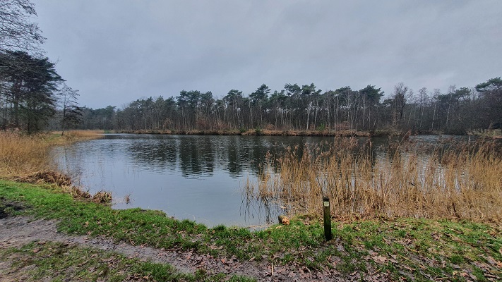 Wandeling met Rutger Burgers over Trage Tocht Bedaf bij de Meeuwel