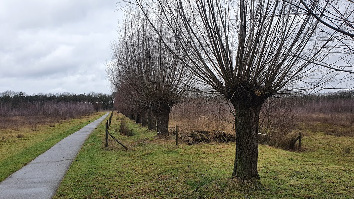 Wandeling met Rutger Burgers over Trage Tocht Bedaf