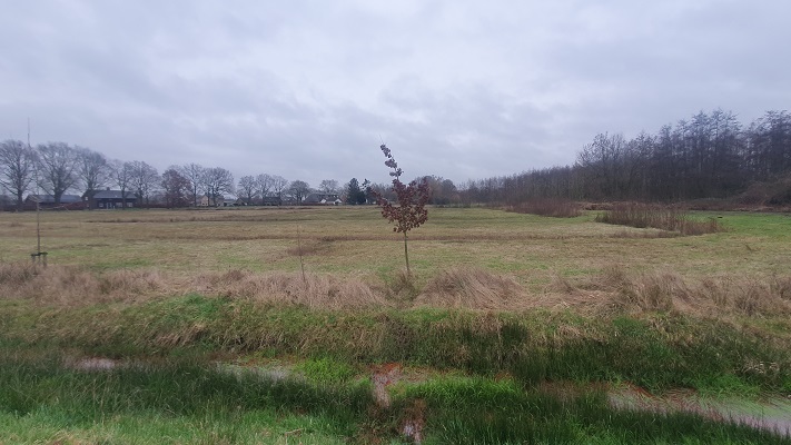 Wandeling met Rutger Burgers over Trage Tocht Bedaf bij de wijstgronden