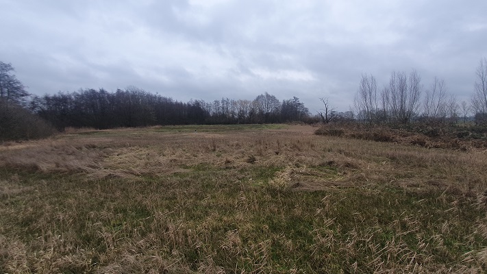 Wandeling met Rutger Burgers over Trage Tocht Bedaf bij de wijstgronden