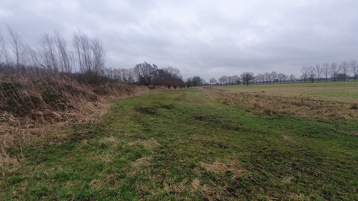 Wandeling met Rutger Burgers over Trage Tocht Bedaf bij de Peelrandbreuk