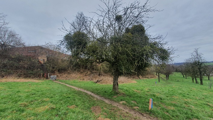 Wandeling over Trage Tocht Valkenburg