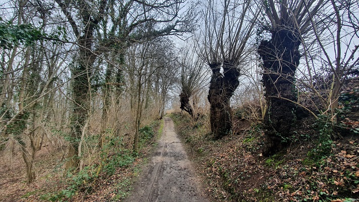 Wandeling over Trage Tocht Valkenburg in het Biebosch