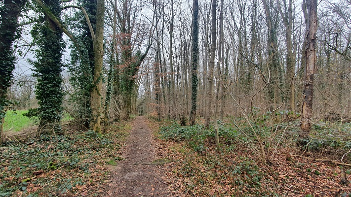Wandeling over Trage Tocht Valkenburg in het Biebosch