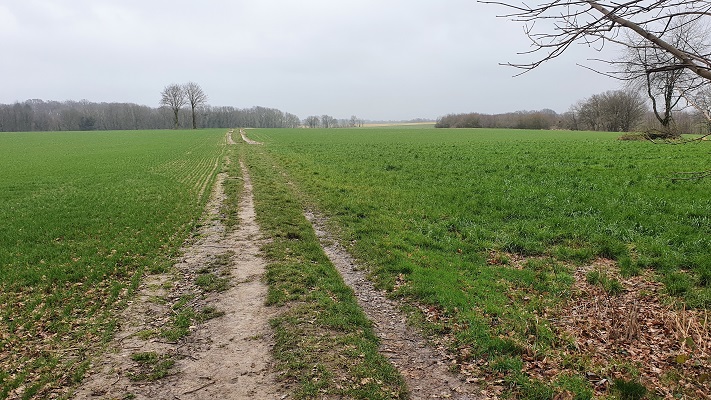 Wandeling over Trage Tocht Valkenburg