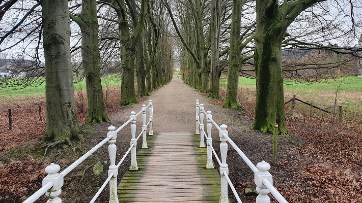 Wandeling over Trage Tocht Valkenburg bij beukenlaan naar kasteel Schaloen