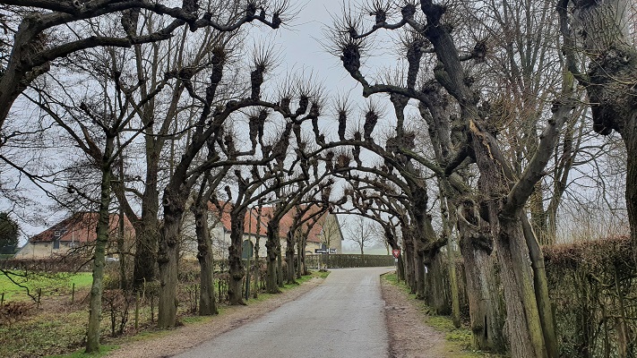 Wandeling over Trage Tocht Valkenburg bij kasteel Schaloen
