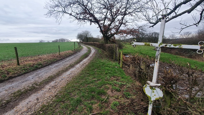 Wandeling over Trage Tocht Valkenburg op de Goudsberg