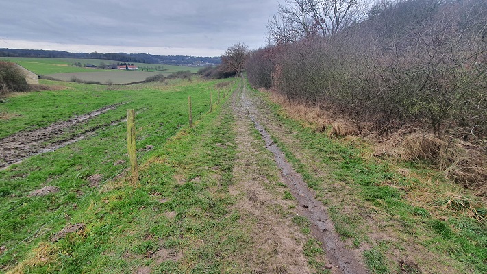 Wandeling over Trage Tocht Valkenburg op de Goudsberg
