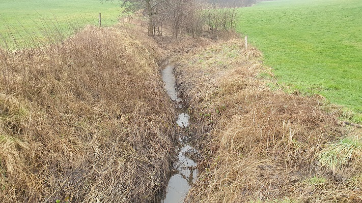 Wijnwandeling Vijlen