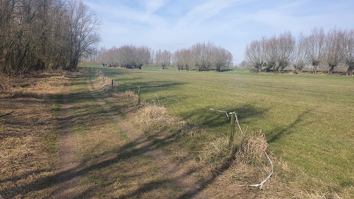 klompenpad-hiensepad-26 Klompenpad Hiensepad in de uiterwaarden van de Waal bij Dodewaard