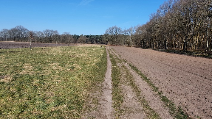 Wandelen in het Hart van Brabant op landgoed Huis ter Heide