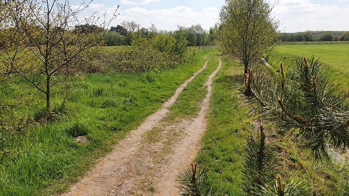 Wandeling over Trage Tocht Achtmaal bij de Reeten