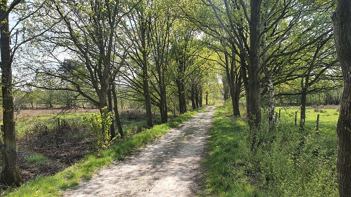 Wandeling over Trage Tocht Achtmaal bij landgoed de Oude Buise