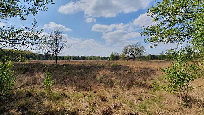 Wandeling over Trage Tocht Achtmaal bij landgoed de Oude Buise