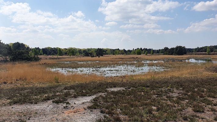 Wandeling over Trage Tocht Achtmaal bij landgoed de Oude Buise