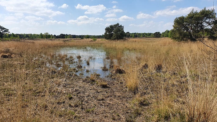 Wandeling over Trage Tocht Achtmaal bij landgoed de Oude Buise