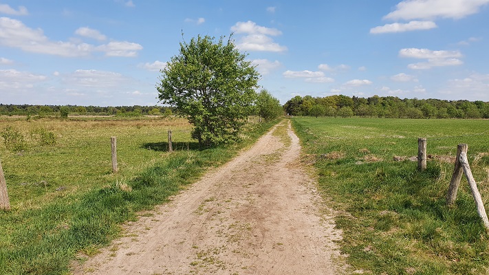 Wandeling over Trage Tocht Achtmaal bij de Reeten