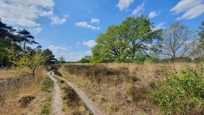Wandeling over Trage Tocht Achtmaal bij landgoed de Oude Buise