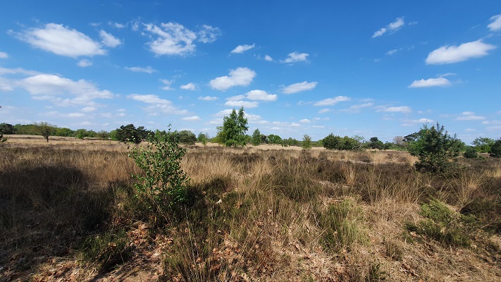 Wandeling over Trage Tocht Achtmaal bij landgoed de Oude Buise